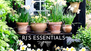 RJ's Essentials
