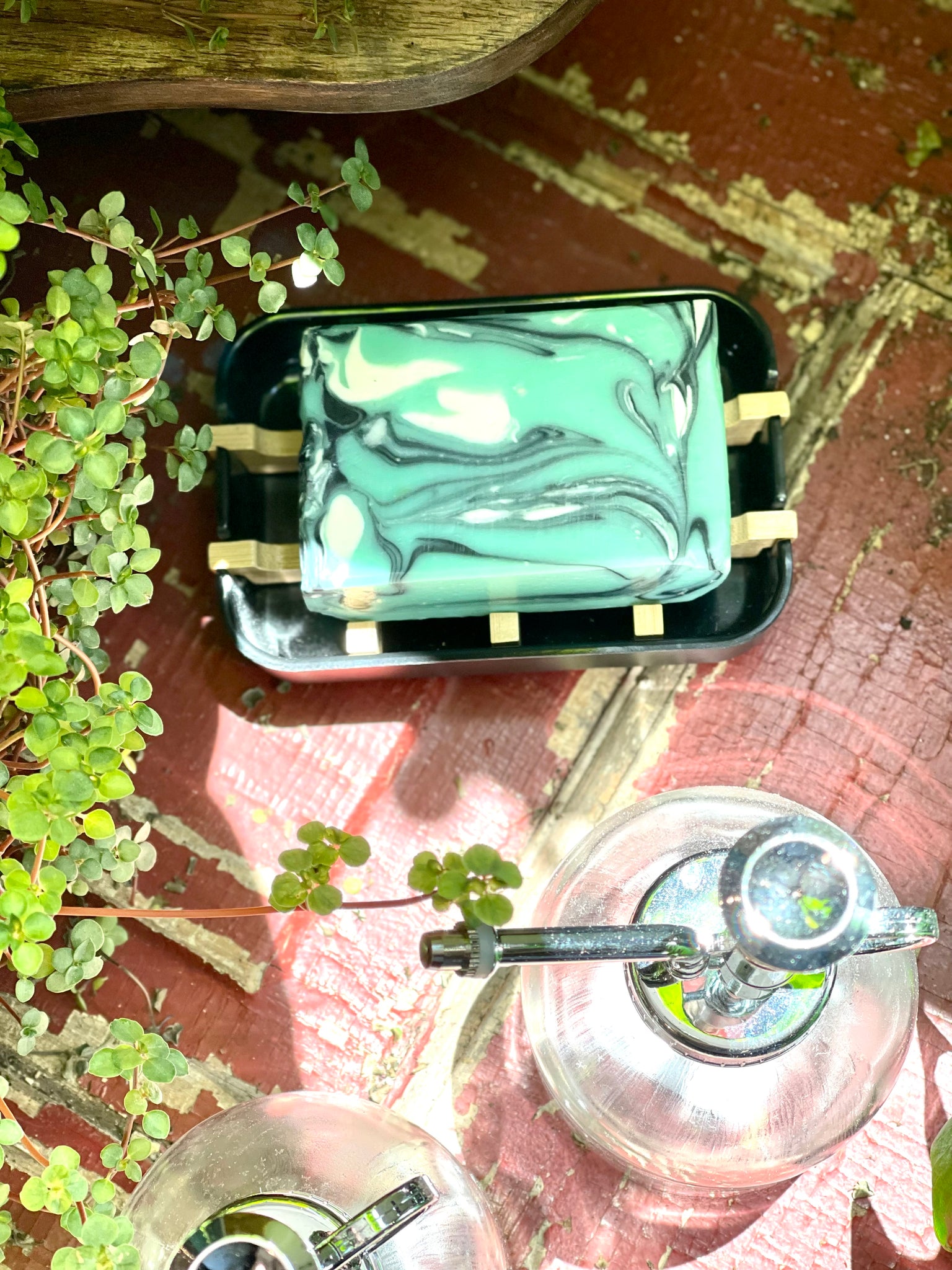 Soap Dish Compostable
